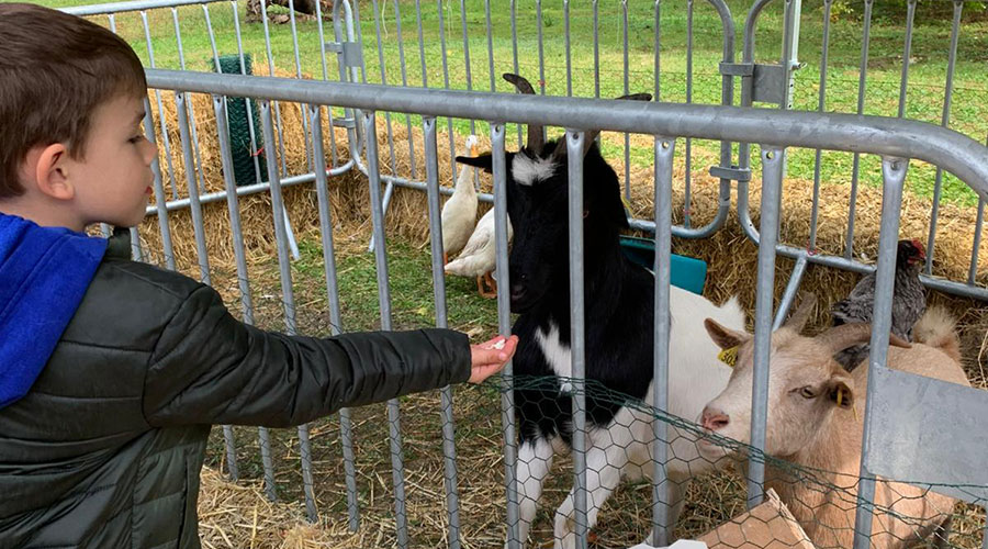 Retour en images sur la journée de l’environnement - Vert-le-Petit