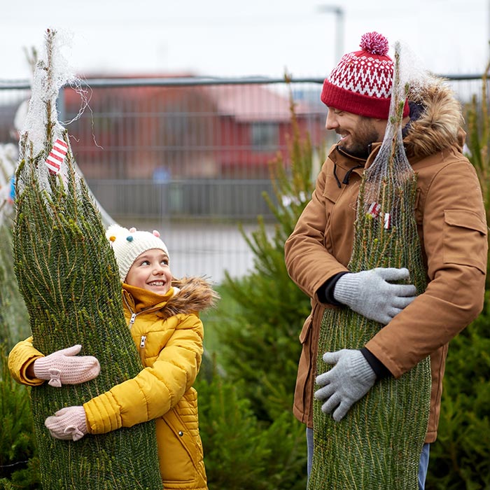 Vente de sapins de Noël – Caisse des Écoles