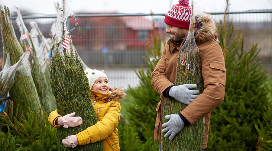 Vente de sapins de Noël – Caisse des Écoles