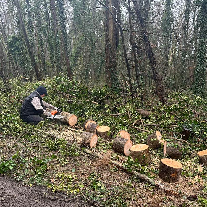 Affouage – Première journée