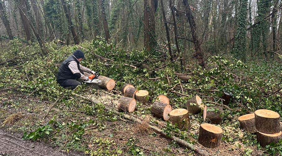 Affouage – Première journée Affouage – Première journée