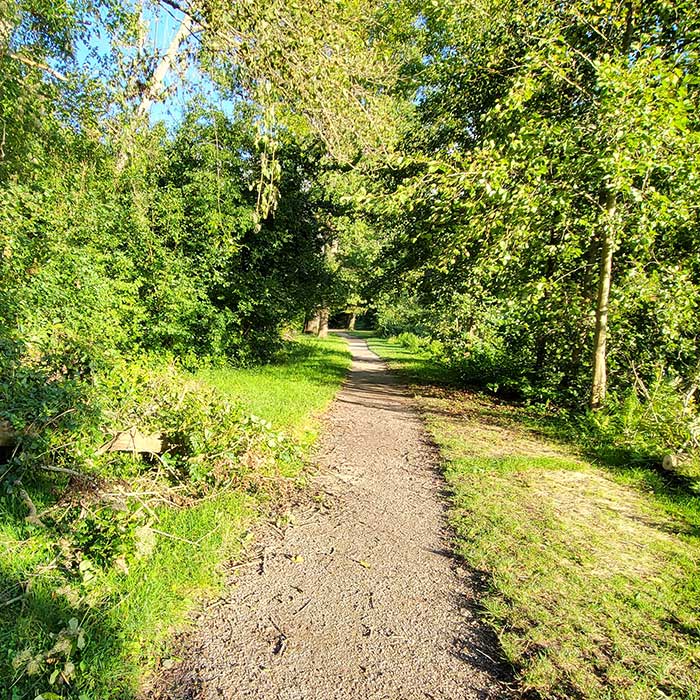 Arrêté préfectoral – Protection des forêts contre le risque d’incendie