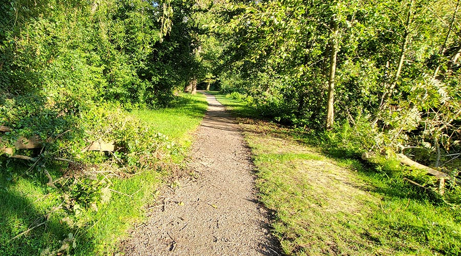 Arrêté préfectoral – Protection des forêts contre le risque d’incendie