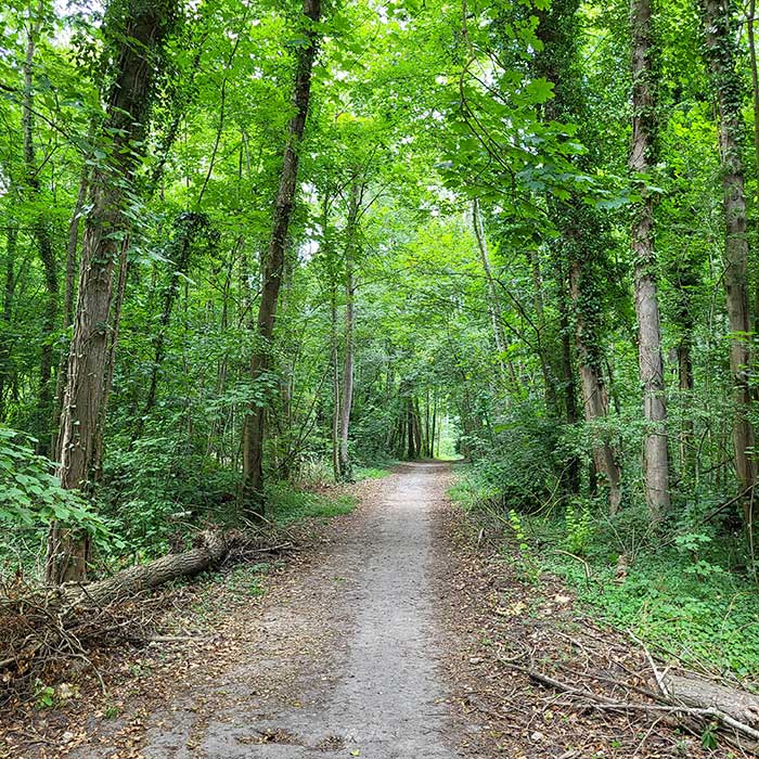 Chasse : Restons vigilants lors de nos promenades